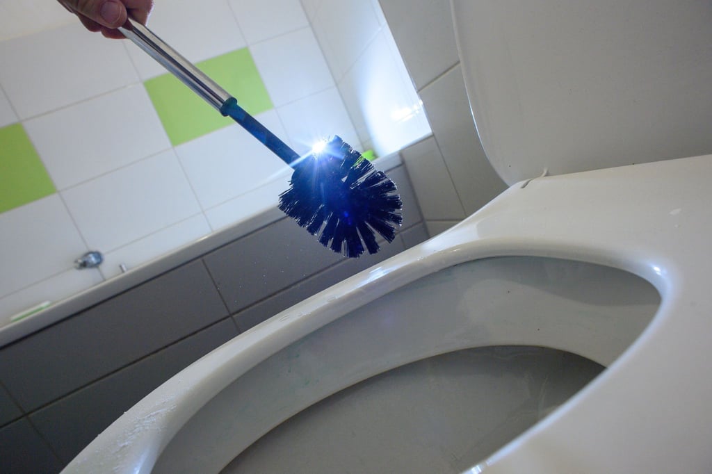 Die Klobürste putzt den Schmutz weg, für Kalkbeläge muss ein WC-Reiniger her. Welcher säubert die Toilette wirklich gut?