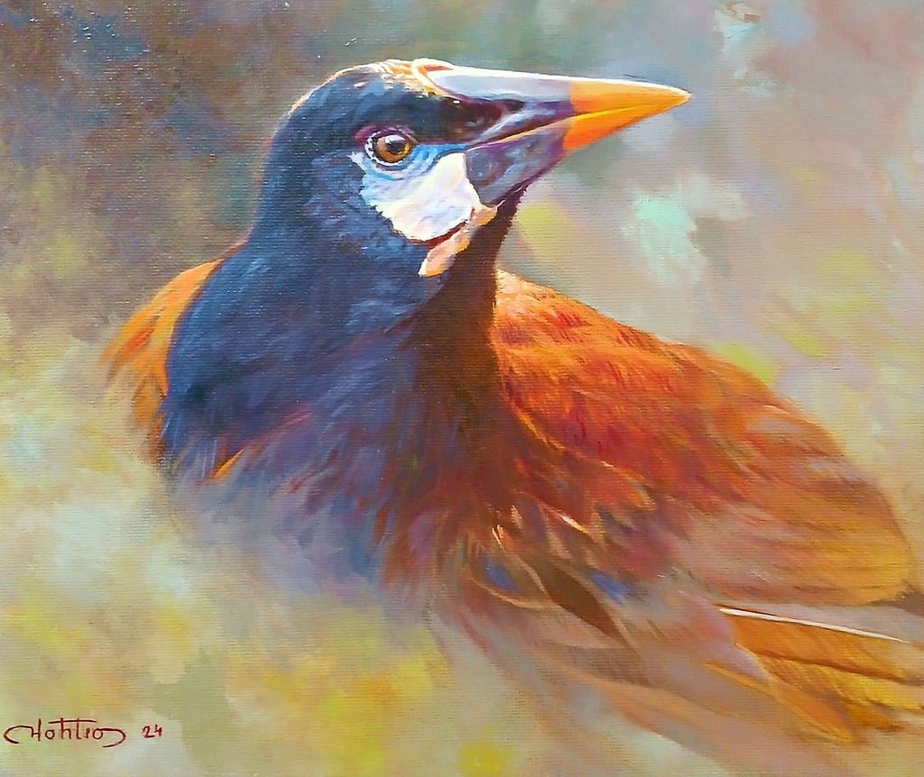 Diana Höhlig zeigt mehrere Arbeiten, darunter diesen Montezuma Oropendola aus Costa Rica.