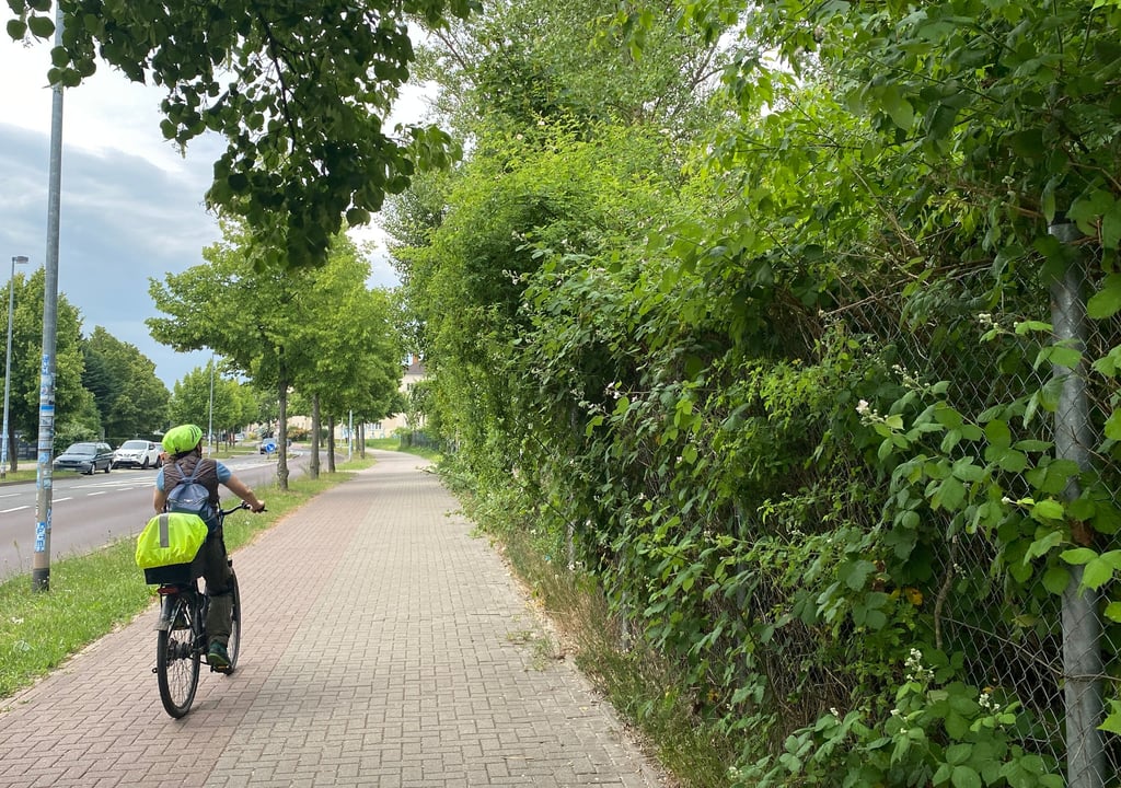 Von der ehemaligenTraglufthalle ist in Magdeburg nichts zu sehen. Hinter einem Maschendrahtzaun verwildert das Grundstück in der Friedrich-Ebert-Straße.