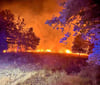 Ein Waldbrand bei Marke. 
