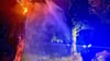 Der Brand eines hohlen Baumstamms zwischen Aschersleben und Klein Schierstedt forderte die Ascherslebener Feuerwehr.