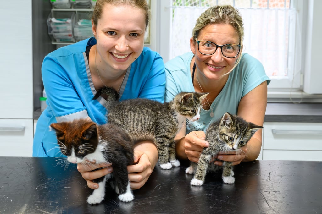 Die Naumburger Tierärztin Heike Kunnaht (r.) und ihre Mitarbeiterin Josephin Menzel mit drei der Kätzchen, die glücklicherweise alle wohlauf sind.