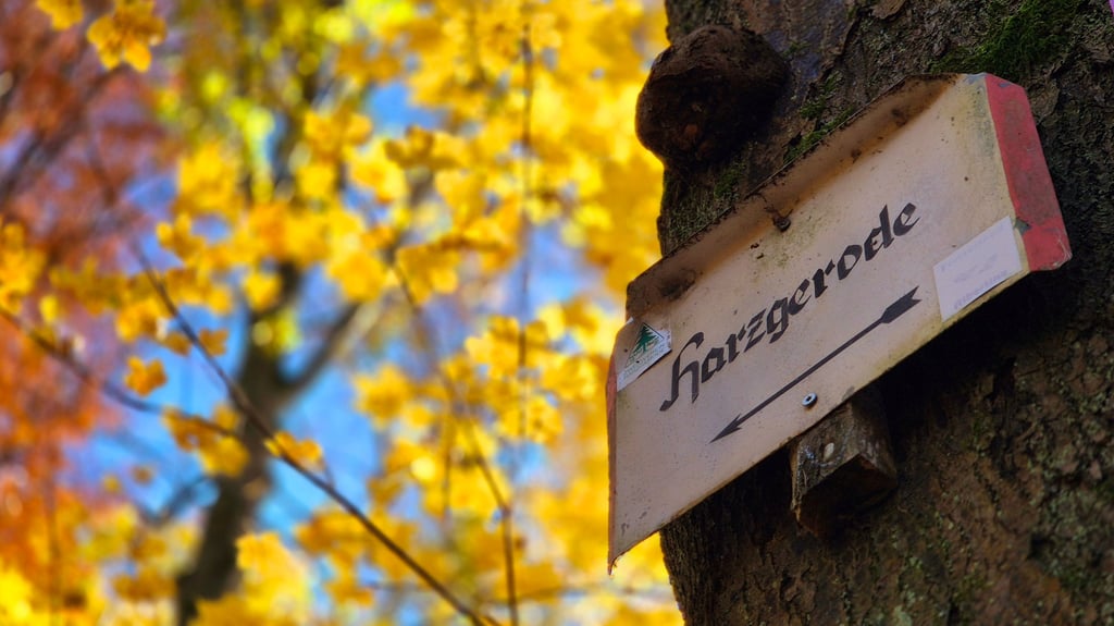 Die Touristinformationen im Selketal - hier zwischen Verlobungsurne und Körhener Hütte - wollen Gäste künftig besser und rund um die Uhr auf dem Laufenden halten.