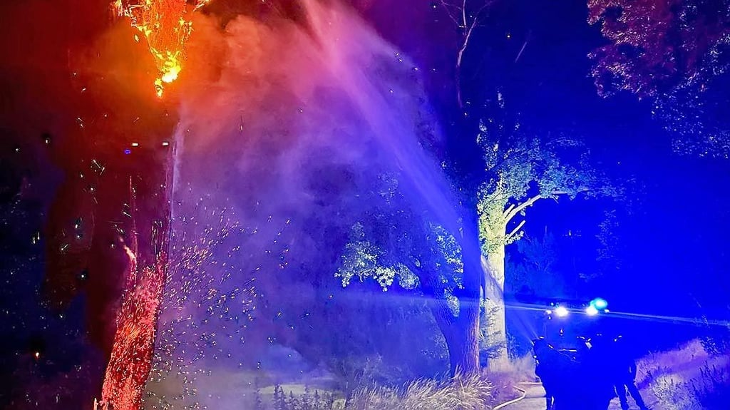 Der Brand eines hohlen Baumstamms zwischen Aschersleben und Klein Schierstedt forderte die Ascherslebener Feuerwehr.