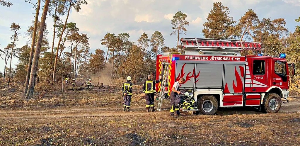 Die Feuerwehr am Montag im Einsatz bei Pakendorf, nach dem großen Waldbrand am 5. Juli. Immer wieder flammten kleinere Feuer auf.