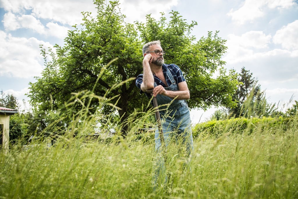 Wer eine Grünfläche im Garten haben will, hat viele Optionen: Rasen, Wiese - oder Kräuterrasen.