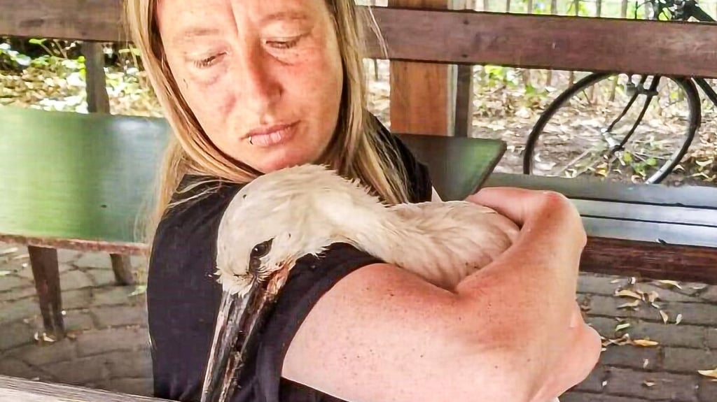 Franziska Mewes mit dem Storch, dem sie vorerst mit Hilfe das Leben rettete.