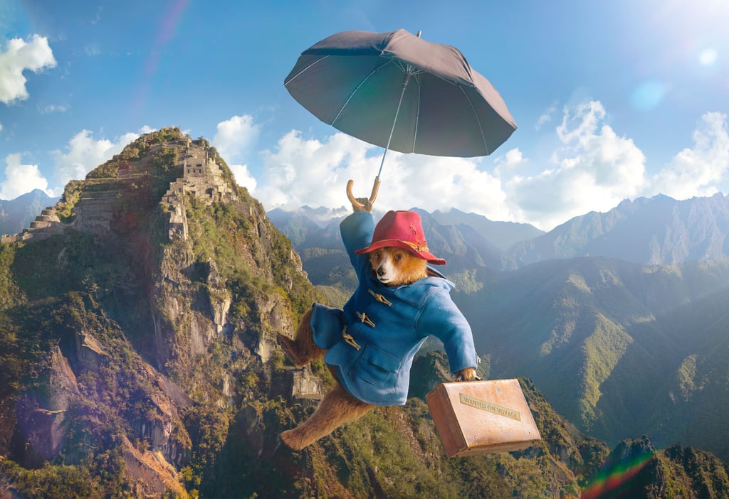 Zum Sommerkino in der Schierker Feuersteinarena wird auch der Film "Paddington in Peru" gezeigt.