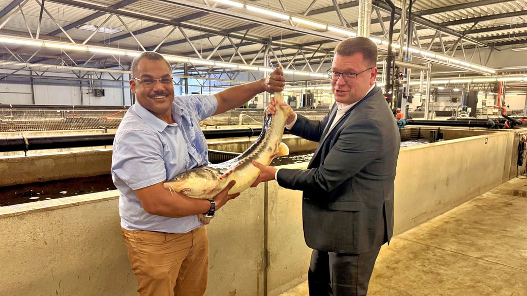 Eine Sekunde hält der Stör still. Zeit genug, um mit Betriebsleiter Tharwat Atallah und Landrat Christian Tylsch ein Bild zu machen.