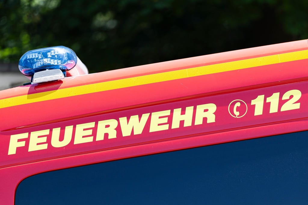 Dank der schnellen Hilfe von Feuerwehrleuten kamen bei einem Brand in einem Hühnerstall keine Tiere zu Schaden. (Symbolbild)