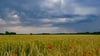 Sonne, Schauer, Sonnenwärme: So wird das Wetter in Sachsen-Anhalt am Wochenende.