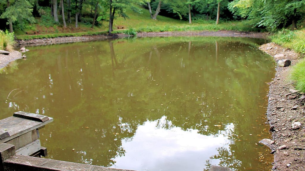 Dem Ilsenburger Schlossteich fehlt gegenwärtig rund ein dreiviertel Meter zum gewohnten Wasserspiegel.