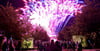 Eine Nacht voller Lichter – so wie bei der bislang letzten Ausgabe von "Nacht der 1.000 Lichter"  im Rosarium in Sangerhausen im Jahr 2019.