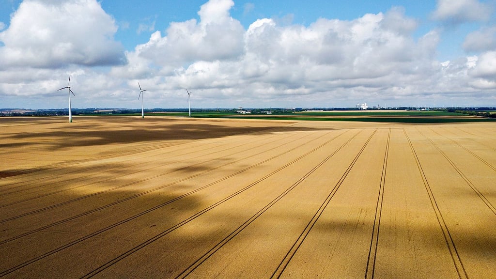 Blick auf den Bereich bei Klein Wanzleben, wo die Windkraftanlagen stehen sollen.
