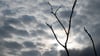 Mehr Wolken als Sonne erwartet die Sachsen-Anhalter in der neuen Woche. (Symbolbild)