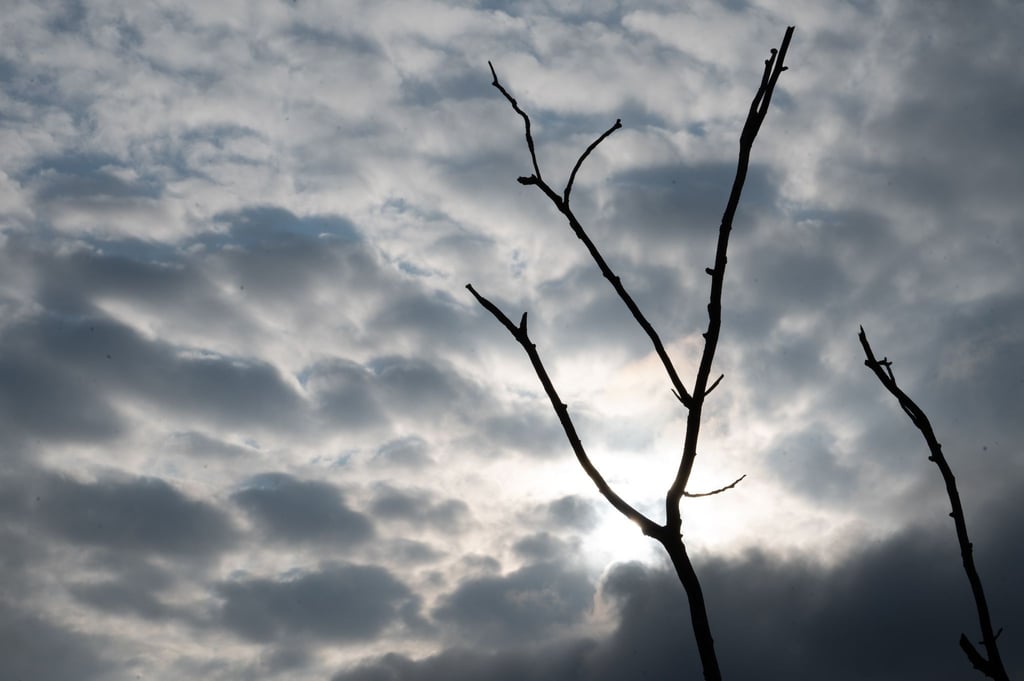 Mehr Wolken als Sonne erwartet die Sachsen-Anhalter in der neuen Woche. (Symbolbild)