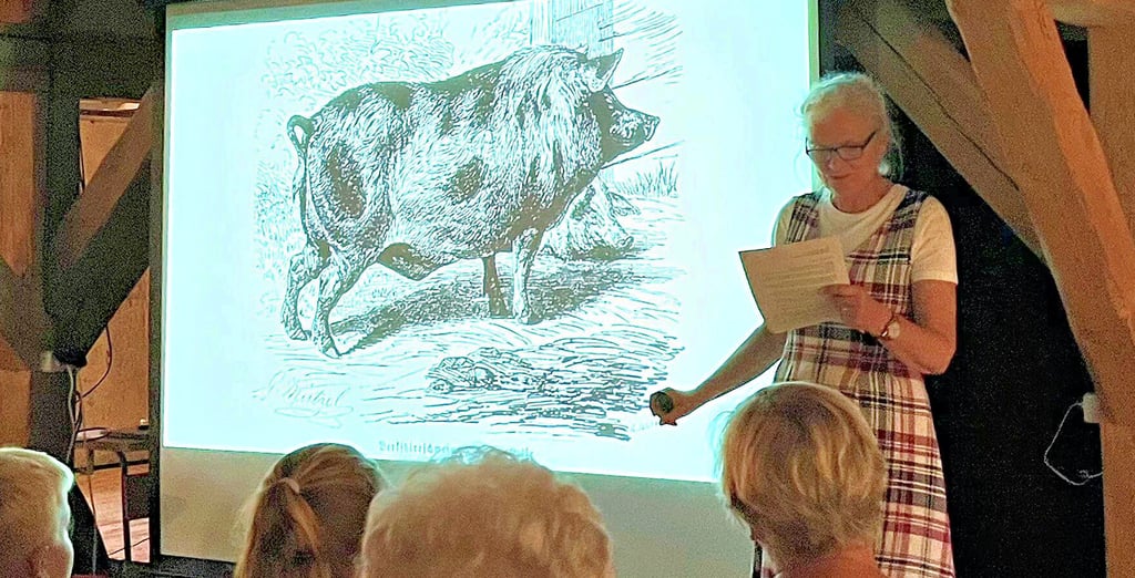 Schauspielerin und Autorin Barbara Geiger vermittelte als „Fräulein Brehm“ im Sommerschulspeicher in Wust unterhaltsames Wissen über das Schwein.