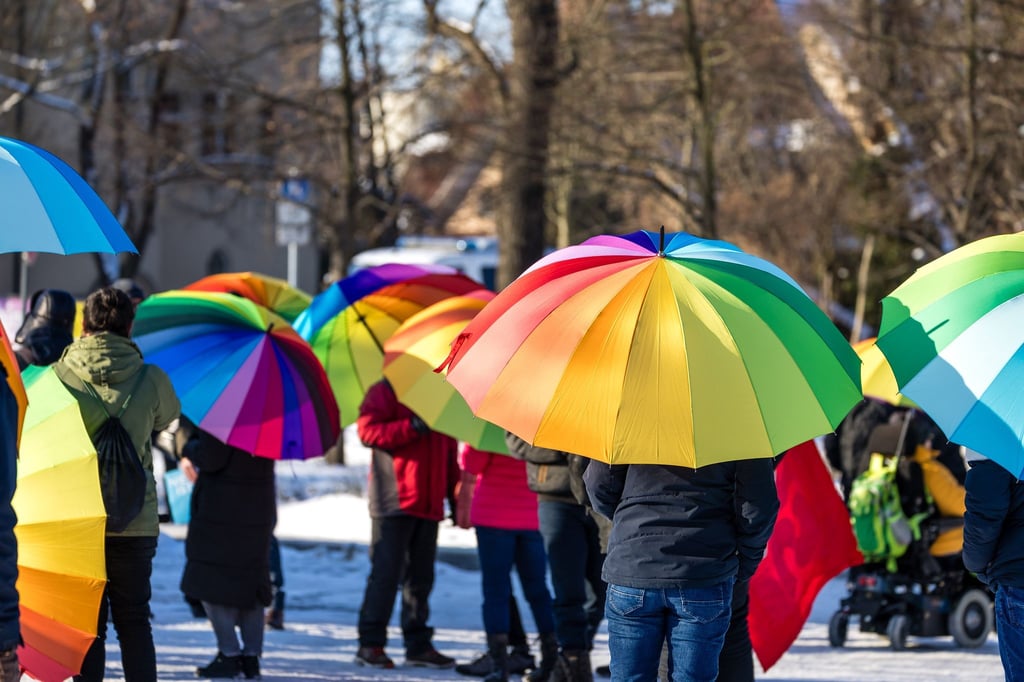 „Bunt statt braun“: Initiativen für Demokratie und Vielfalt in Spremberg stellen sich gegen den Rechtsextremismus. (Archivbild)