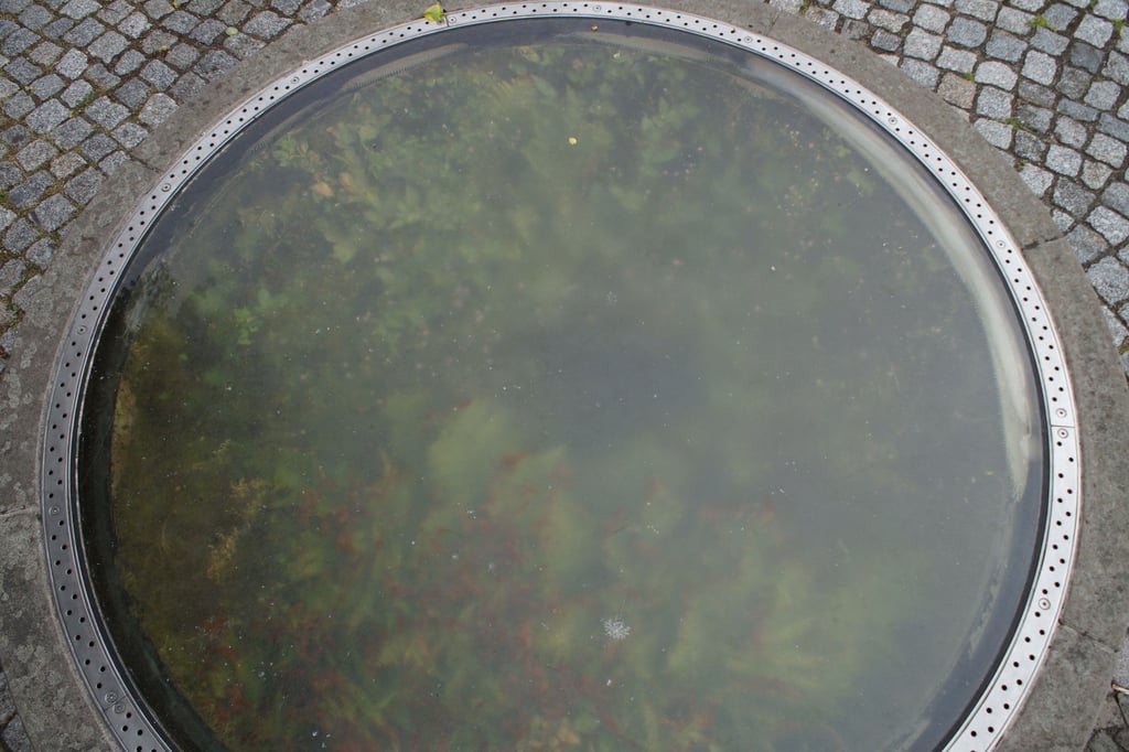 Der zugewachsene Brunnen am Markt in Havelberg läßt Einheimische und Touristen rätseln, welche Bedeutung das „grüne Fenster“ hat. Im Schatten des Rathauses sind unter der Brunnenabdeckung nur schemenhaft die Farne, oder auch andere Pflanzen, zu erkennen.