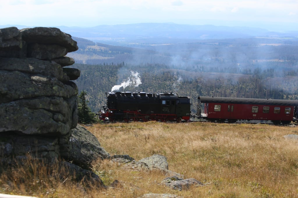 Bei den Fahrgastzahlen ging es für die Harzer Schmalspurbahnen bergauf - allerdings auch bei den Kosten. (Archivbild)