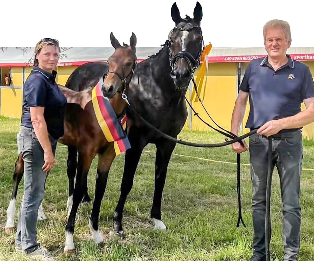 „Das erlebt man nur einmal im Leben“, sagt Andrea Pietscher. Zusammen mit ihrem Mann Lutz freut sie sich, dass ihr gemeinsam gezogenes Fohlen Luxor P zu Deutschlands bestem springbetont gezogenen Hengstfohlen gekürt wurde.