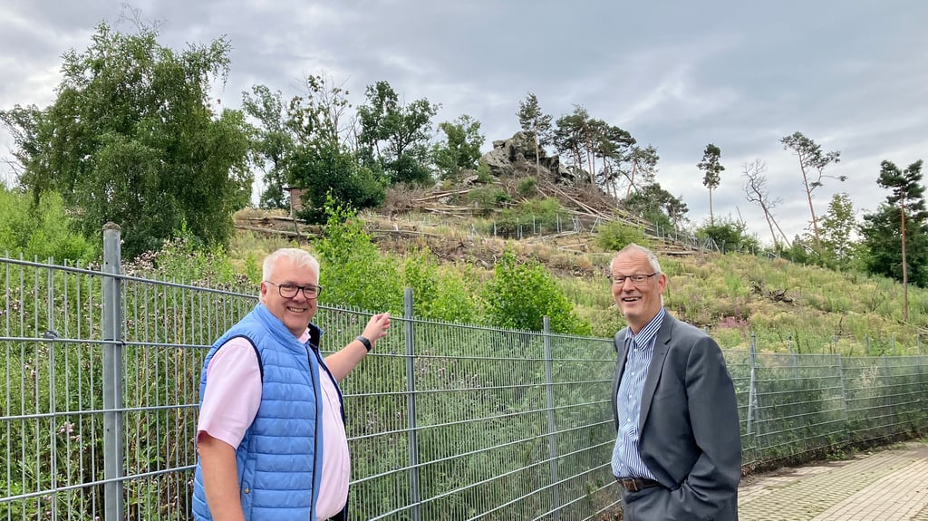 Steffen Raßfeld (links) und Detlef Kürten sind optimistisch, dass der Hang im Tierpark Westerhausen wieder aufgeforstet werden kann.