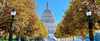 Die Reise in die USA – hier Washington D.C. – fand nicht statt.