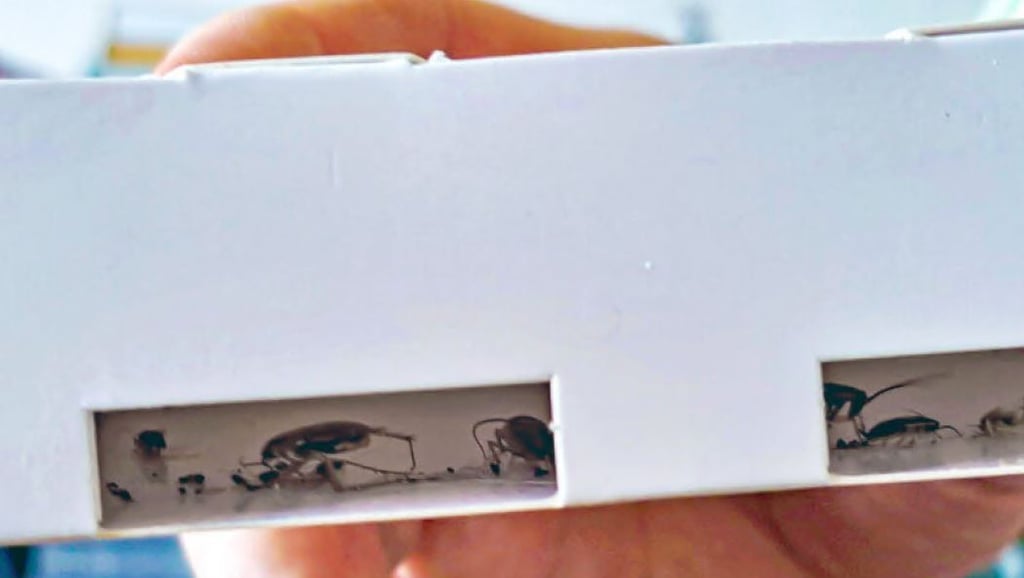 Plattenbau-Viertel in Weißenfels: Ärger wegen Müll und Leerstand