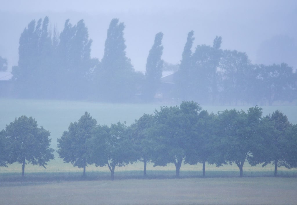 Im Nordosten Deutschlands wird heftiger Regen erwartet. (Archivbild)