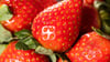 Bei frischen Beeren unterscheidet sich der Preis zwischen Bio- oder konventionellen Produkten deutlich.
