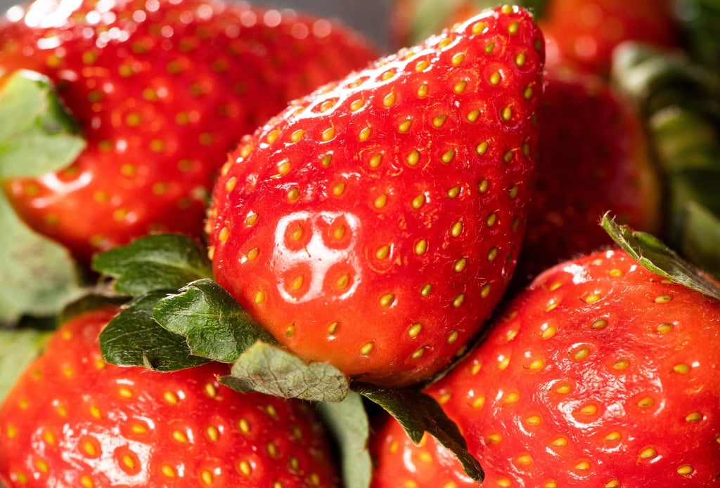 Bei frischen Beeren unterscheidet sich der Preis zwischen Bio- oder konventionellen Produkten deutlich.