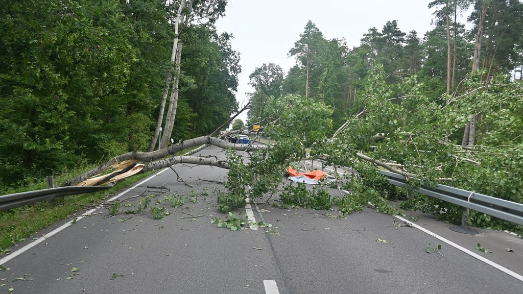 Im Altmarkkreis Salzwedel bei Kuhfelde ist ein Baum auf ein Fahrzeug gestürzt.