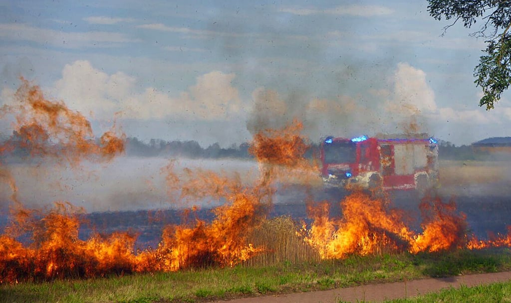 Die Feuerwehr brachte den Feldbrand schnell unter Kontrolle.