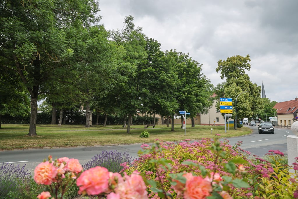 Der „kleine Park“ an der Lützener Schloßstraße bleibt erhalten. Der neue Edeka-Markt wird an dieser Stelle nicht gebaut.