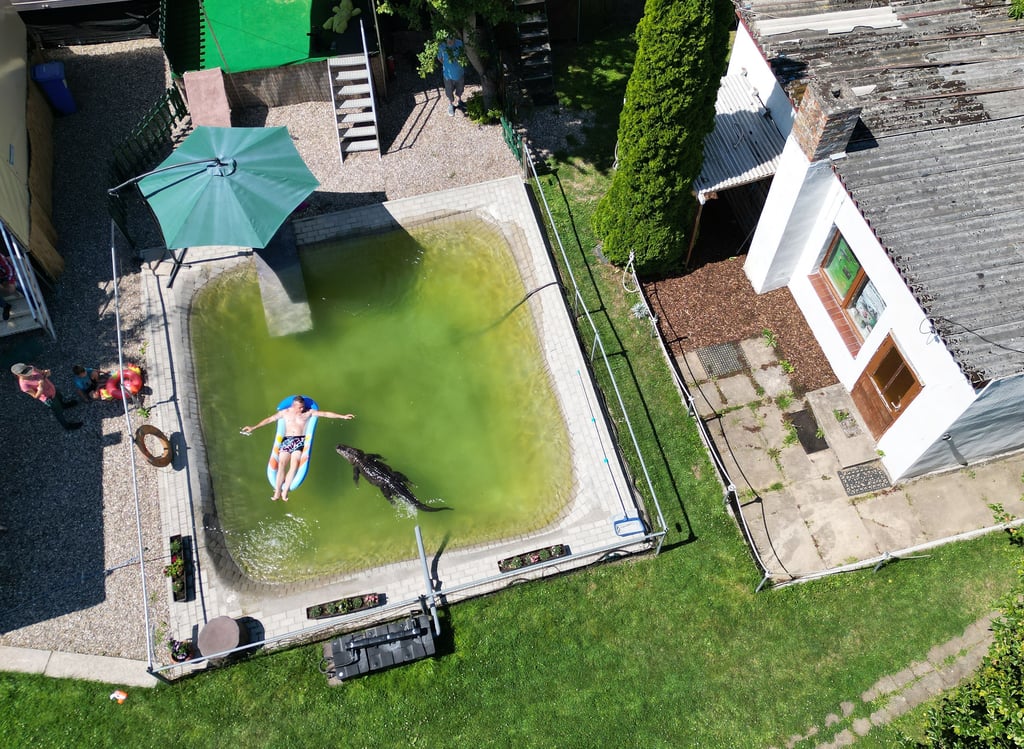 Krystian Kaulis spielt und kuschelt im Pool mit Alligator Frau Meyer.