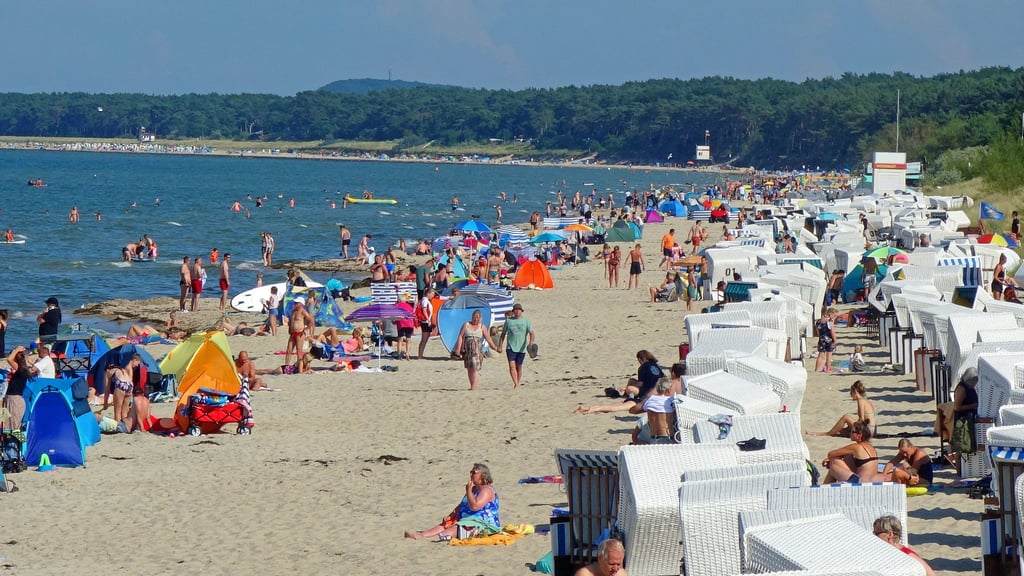 Mit der sommerlichen Hitze steigt das Risiko für Vibrionen-Infektionen an Nord- und Ostsee.