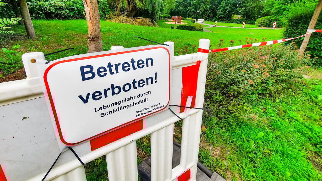Nach dem Fund des Eichenprozessionsspinners neben Farslebens Kinderspielplatz ist nun auch ein zweiter Spielplatz in Wolmirstedt wegen eines anderen Schädlingsbefalls gesperrt.