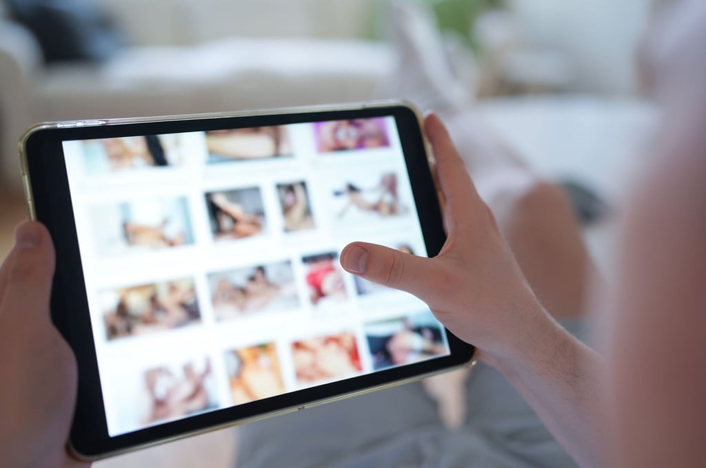 In Sachsen-Anhalt hat sich die Zahl der Ermittlungen wegen Kinderpornografie in nur fünf Jahren verdreifacht. (Symbolbild)