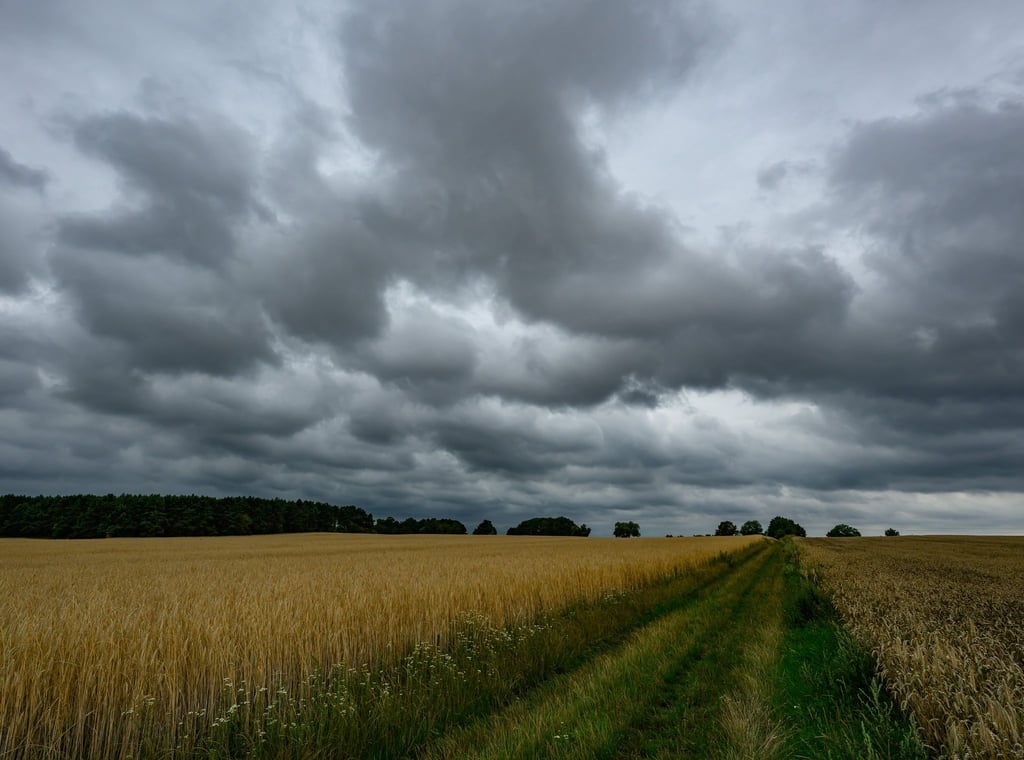 Weitere Gewitter ziehen bis zur Mitte der Woche über die Hauptstadtregion. (Symbolbild)