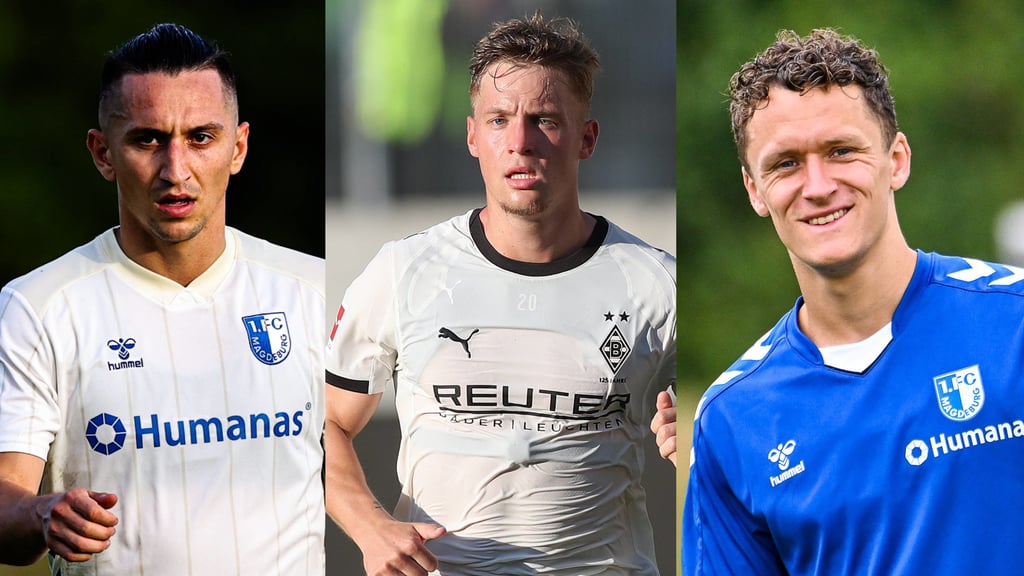Baris Atik, Noah Pesch und Martijn Kaars (v.l.) - wer kommt und wer geht beim 1. FC Magdeburg?