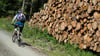 Im Nationalpark Harz kommt es immer wieder zu Unfällen von Mountainbikern.