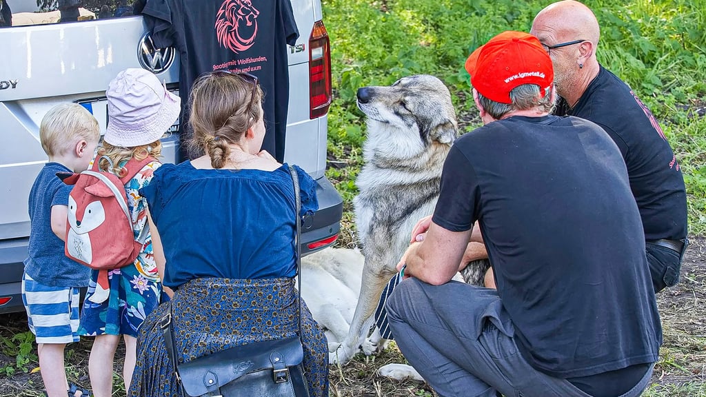 Für Familien gibt es beim Drömlingsfest auch Natur zum Anfassen.