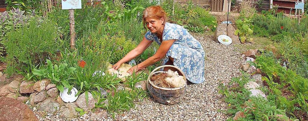 Kräuterfee Mikaela Guischard demonstriert, wie die Gartenerde mit Schafwolle als Mulch gegen Feuchtigkeitsverlust geschützt werden kann.