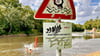 Am Saalestrand auf der Ziegelwiese waren am Mittwochnachmittag Jugendliche und Kinder zum Baden im Fluss. Die Warn- und Hinweisschilder werden auch von Familien zumeist ignoriert.