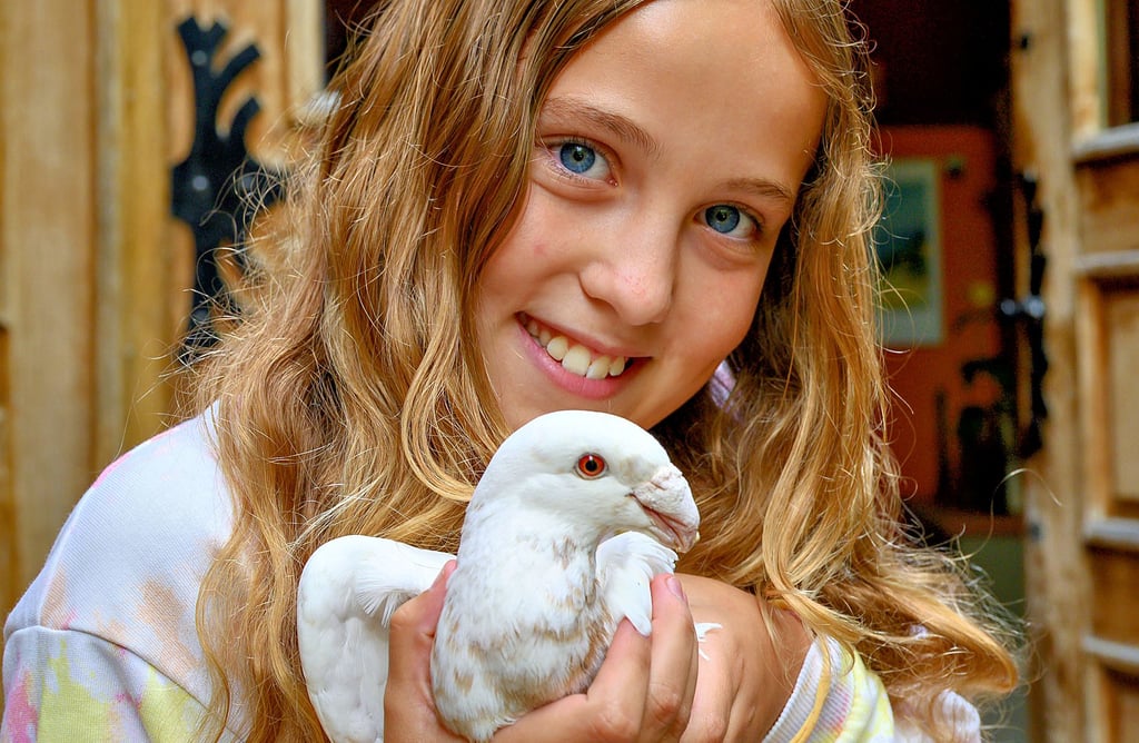 Julia aus Goseck hat sich mit der zutraulichen Taube, die sie mit ihrem Opa in der Eulauer Ulenaue fand, angefreundet.