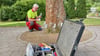 Mirko Gericke bringt die Tomografen am Ahorn-Baum zur Messung an. 