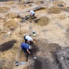 Mitarbeiter vom Landesamt für Denkmalpflege und Archäologie Sachsen-Anhalt entfernen die oberen Erdschichten einer Vorratsgrube aus der späten Bronzezeit in Wolmirstedt.&nbsp;