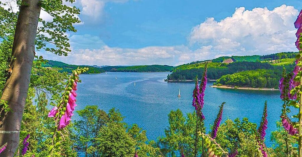 So malerisch präsentiert sich das Sauerland – hier das Natur-Erlebnisgebiet Biggesee-Listersee im Naturpark Rothaargebirge.