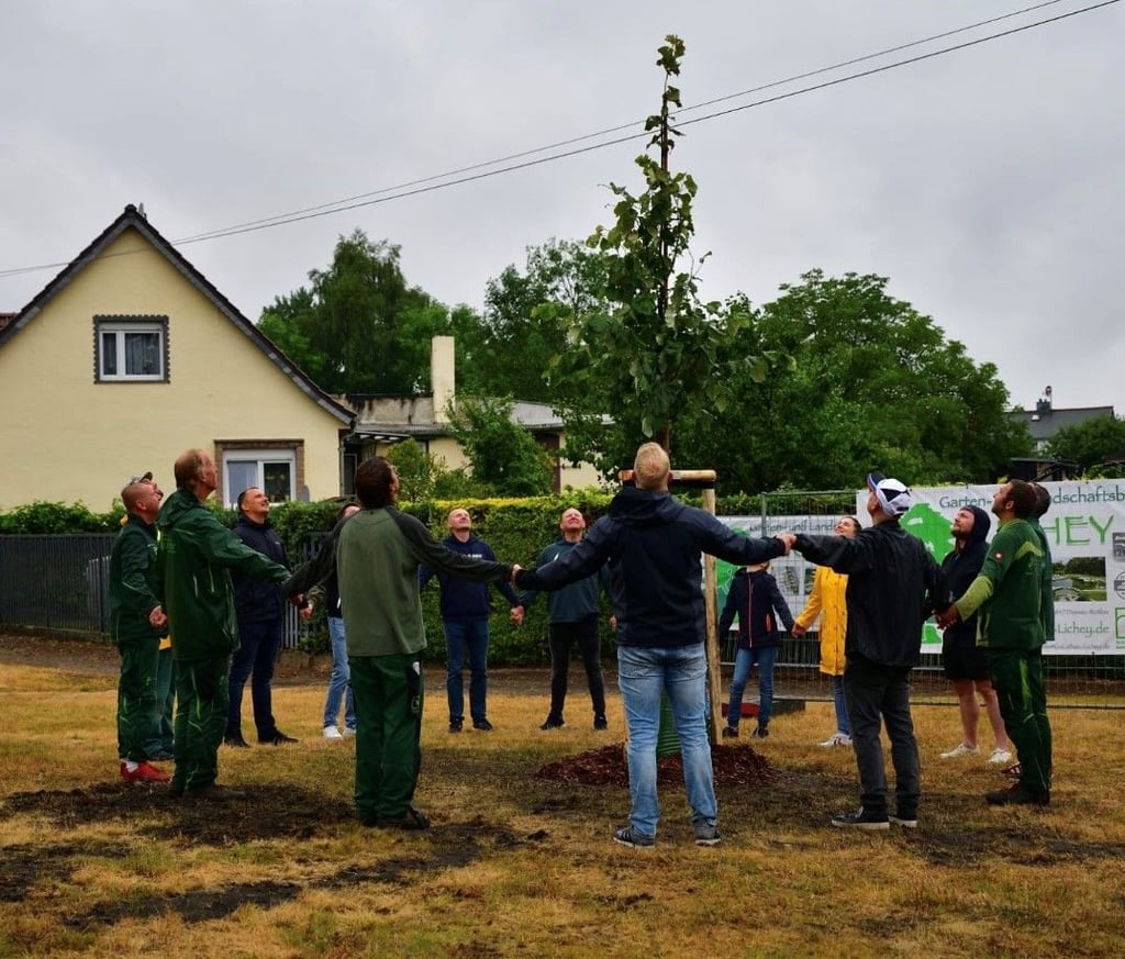 Freunde von Markus Graul bilden einen Kreis um den Baum für den Verstorbenen, der nun in der Kochstedter Ortsmitte steht.