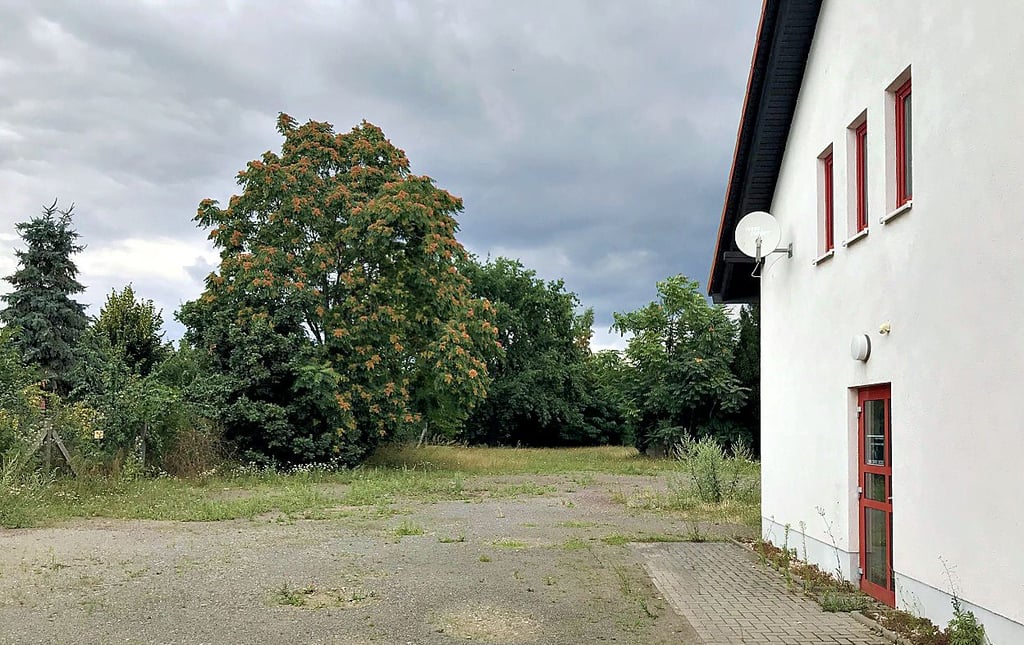 Das Gelände der alten Feuerwehr in der Ernst-Thälmann-Straße in Barleben wirkt fast wie ein Park. Die rund 4.000 Quadratmeter sollen nun entwickelt werden mit dem gegenüberliegenden Arael des alten Kindergartens in der Hansenstraße.